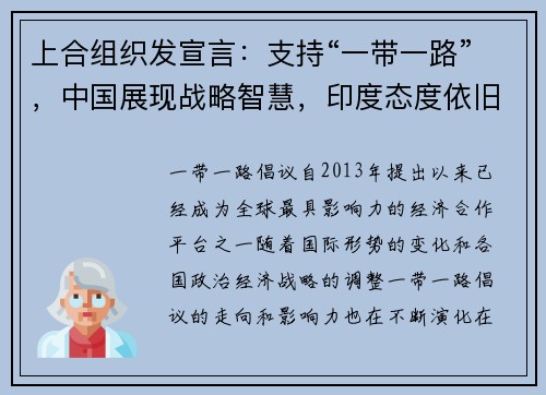 上合组织发宣言：支持“一带一路”，中国展现战略智慧，印度态度依旧保守