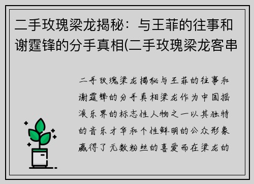 二手玫瑰梁龙揭秘：与王菲的往事和谢霆锋的分手真相(二手玫瑰梁龙客串过什么电影)