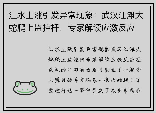 江水上涨引发异常现象：武汉江滩大蛇爬上监控杆，专家解读应激反应