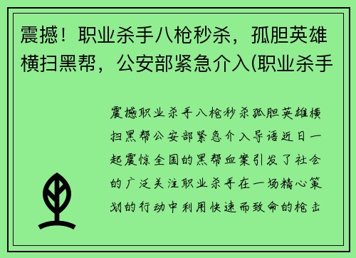 震撼！职业杀手八枪秒杀，孤胆英雄横扫黑帮，公安部紧急介入(职业杀手落网)